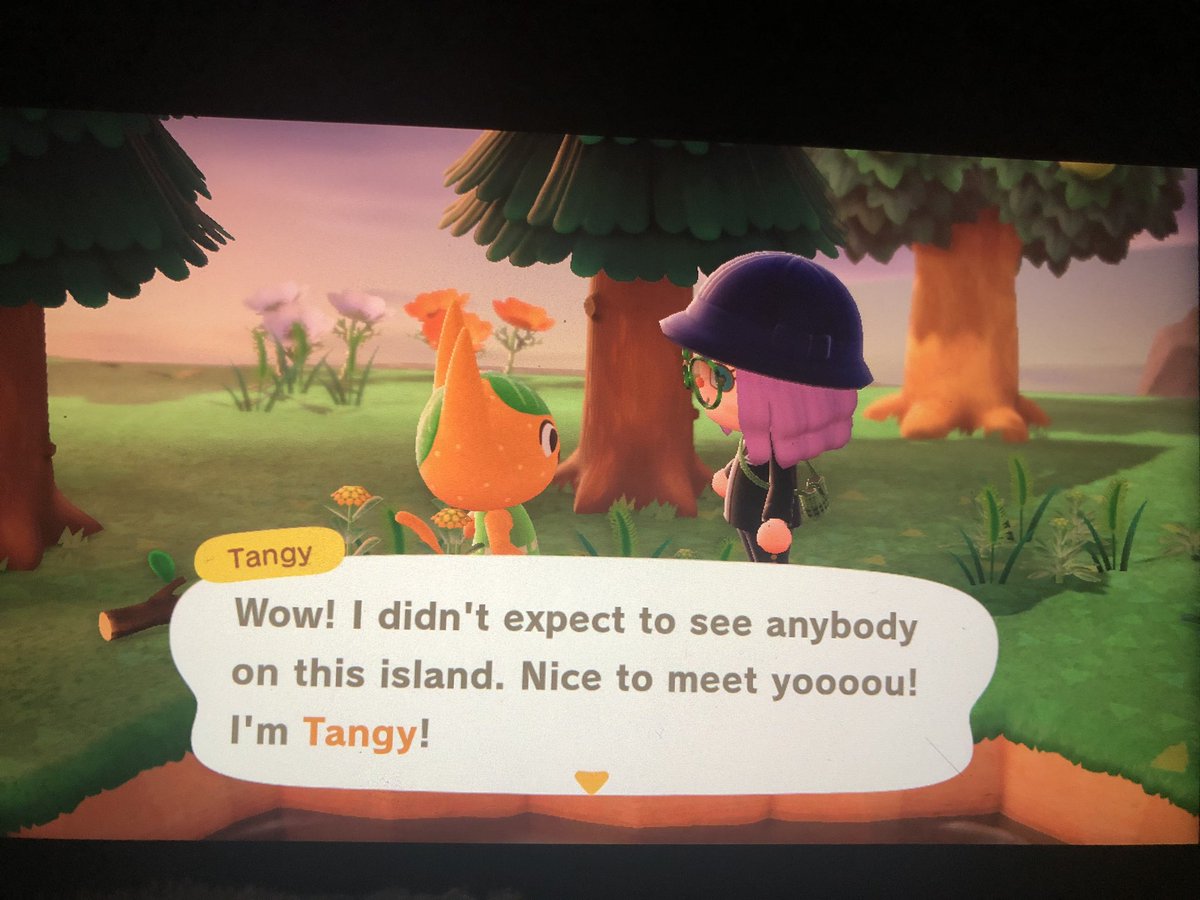 MyACNHaccount's tweet photo. Continuing my hunt for a kangaroo! 1. Tangy, I know she’s popular but I don’t get the hype! https://t.co/tQSwNA7cVj