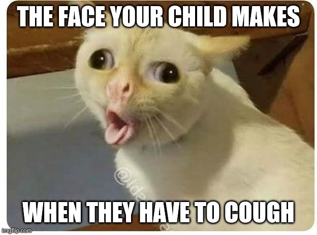 suppfathers's tweet photo. The face our children make when they have to cough. ๐
#cough #coughing #coughcough #coveryourmouth #opencough #spreadinggerms #germs #parenting #parenthood #parent #parentstruggles #struggles #strugglelife #dadlife #fatherhood #dad #momlife #mommyhood #motherhood #ohno https://t.co/wChUlwgnke
