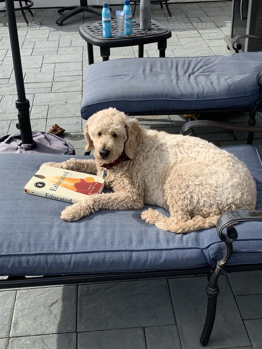 SarahGewirtz's tweet photo. @barbri #BARBRIpets https://t.co/ZcMKyXXVga