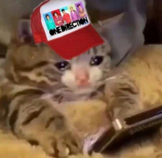 heartbrkweathr_'s tweet photo. Rt if ur manifesting the Ig lives, infinity mv, or a new album #10YearsOfOneDirection https://t.co/3eA9LoEfFx