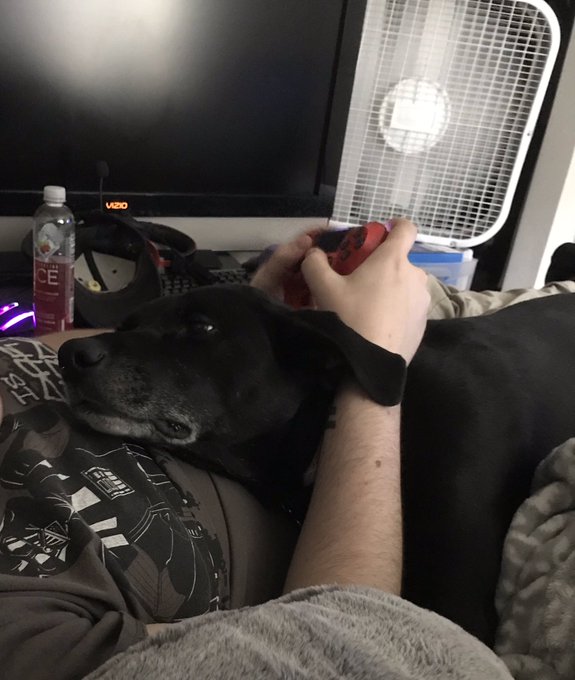 Get you a man that looks at you the way my dog looks at my husband 💕 https://t.co/iFfBgGItGk<a href="/tag/newprofilepic"class="tags"><span>#newprofilepic</span></a>