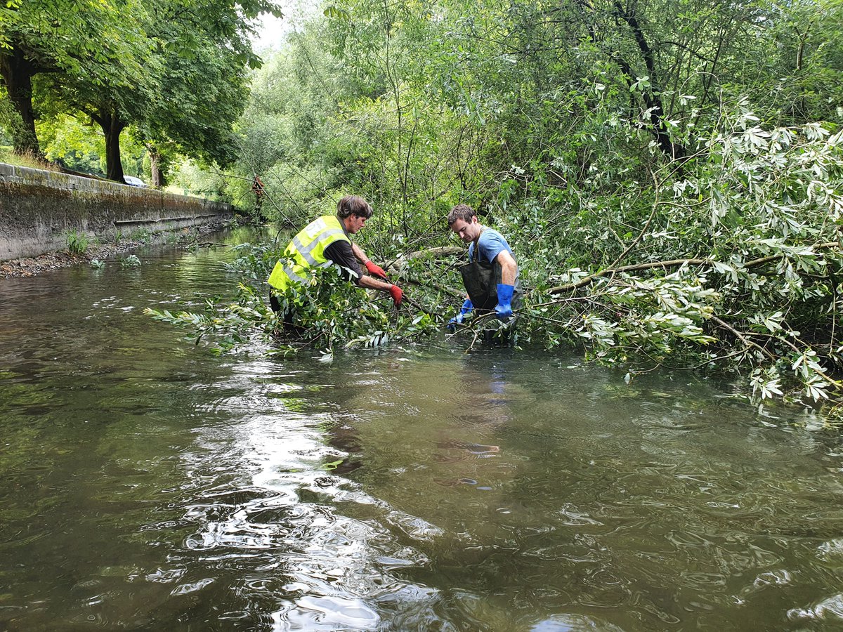 ajbelloni's tweet photo. We tried hard to keep the two metres!, thanks Rob, small groups are best for now, &amp; I always like to get the good practise &amp; health &amp; safety reminders as well as the discussion, practical work advice &amp; contacts; brilliant @OxheyParkFoOP @WildTroutTrust @ajbelloni @WatfordCouncil https://t.co/lqLCSJamv7