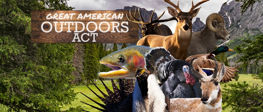 TheTRCP's tweet photo. Thank you to those who championed the passage of the Great American Outdoors Act in the House. All Americans will benefit from legislation that supports outdoor recreation opportunities and conservation priorities. https://t.co/ThXHdb89RW