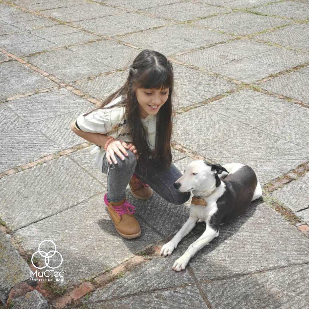 mactecperu's tweet photo. Podemos entender la ciencia mirando a nuestro alrededor. 🔍
¿Qué similitud hay entre la diversidad de animales y los anticuerpos?
Nuestras niñas de Beautiful Minds lo exploran!
#Covid_19 #Ciencia #GirlScientist #NiñasCientíficas #BeautifulMinds #Perú #MACTEC #UNESCO #GWEPrize https://t.co/1j0cuyrUJK