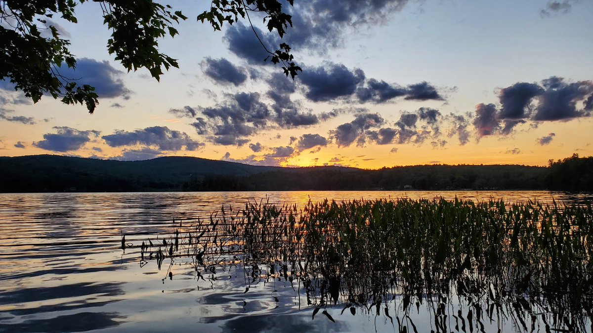mtn_lust's tweet photo. Waters edge wandering with my bestie 🏞🌄👫 https://t.co/7WbXrKTZw5