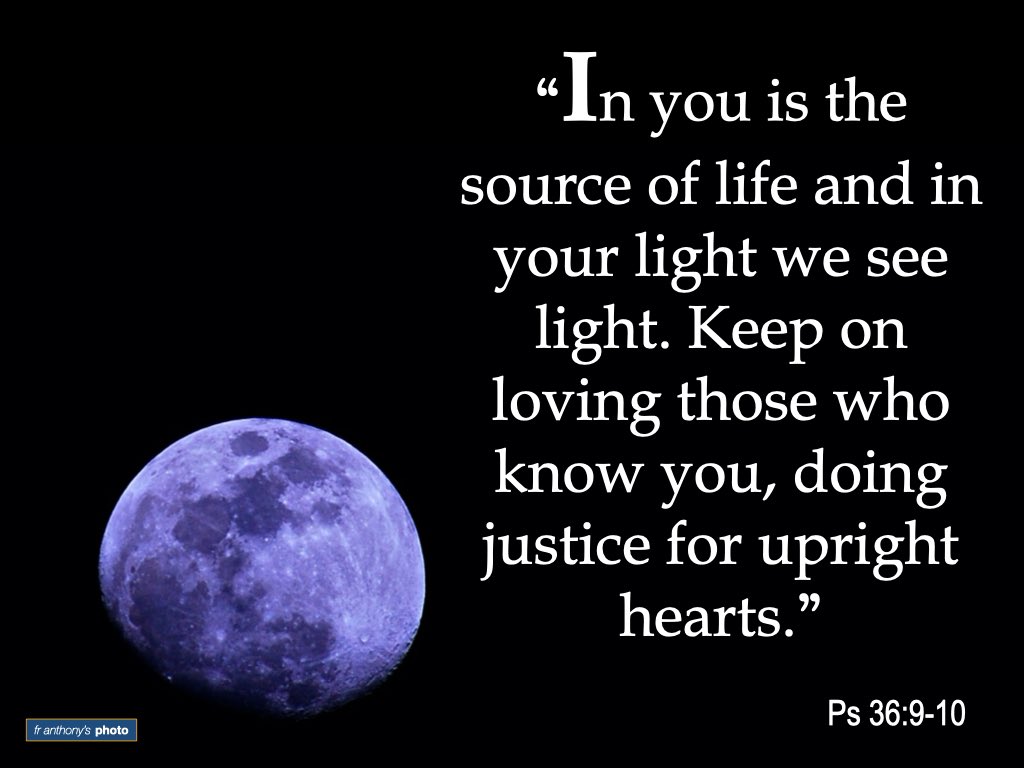 TonColoma's tweet image. #passagefortoday