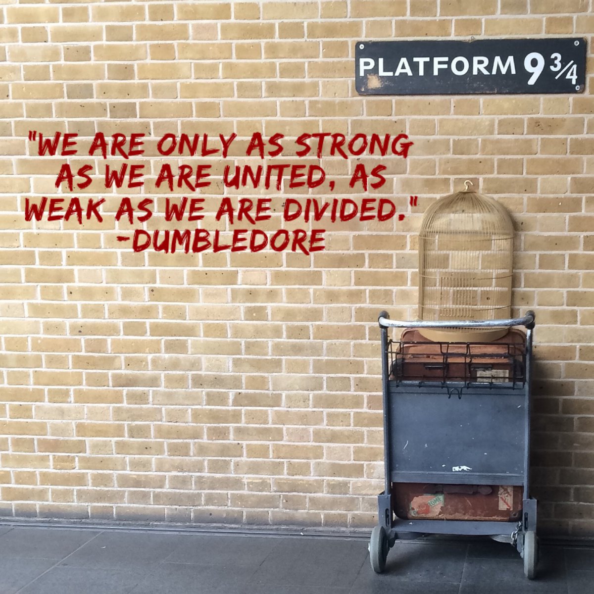 Challenge 4 #SDIRCReignite Not only her favorite movie but <a href="/Rachel_Moree/">Rachel Moree</a> encompasses many traits of all the houses within the Harry Potter series. She unites us in the common goal of growing together to be #bestbykids #SDIRCstrongertogether #WatchUsGrow