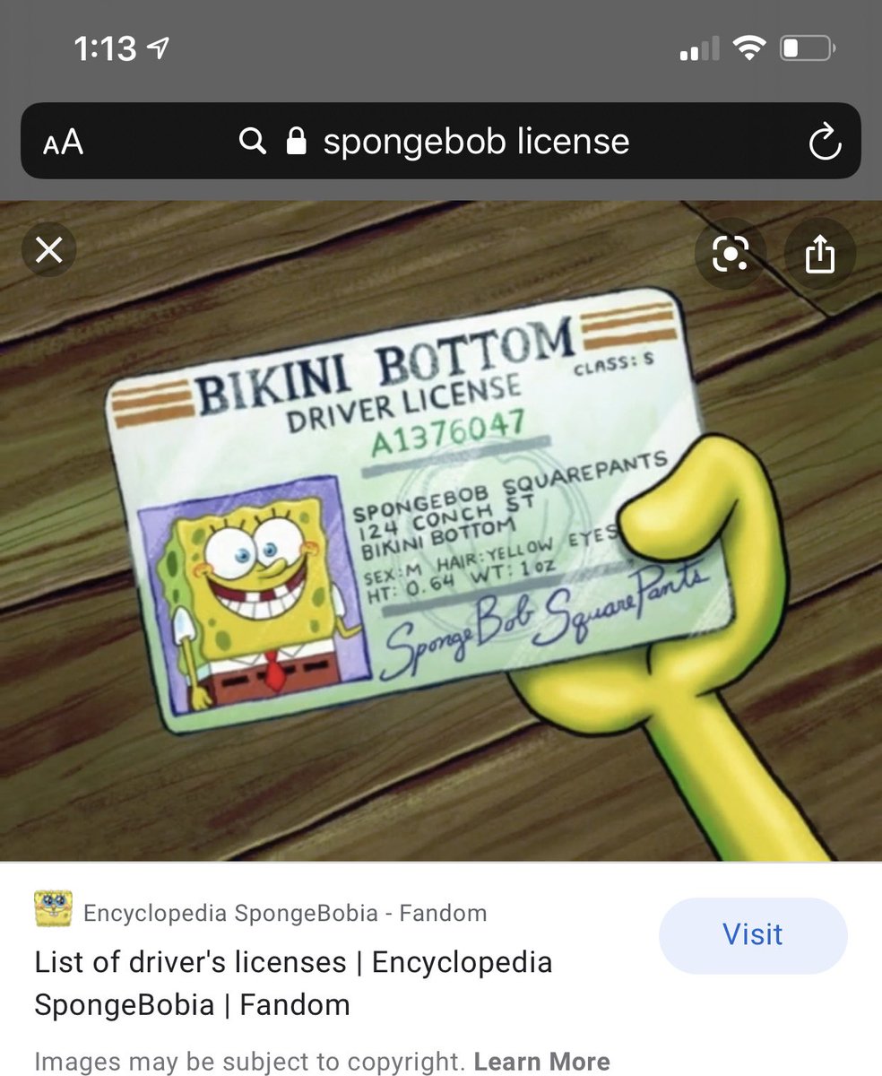 List of memes, Encyclopedia SpongeBobia