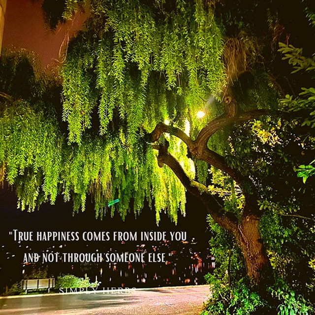 irdiallo's tweet photo. #WellnessWednesday https://t.co/C9XnEQhHhw