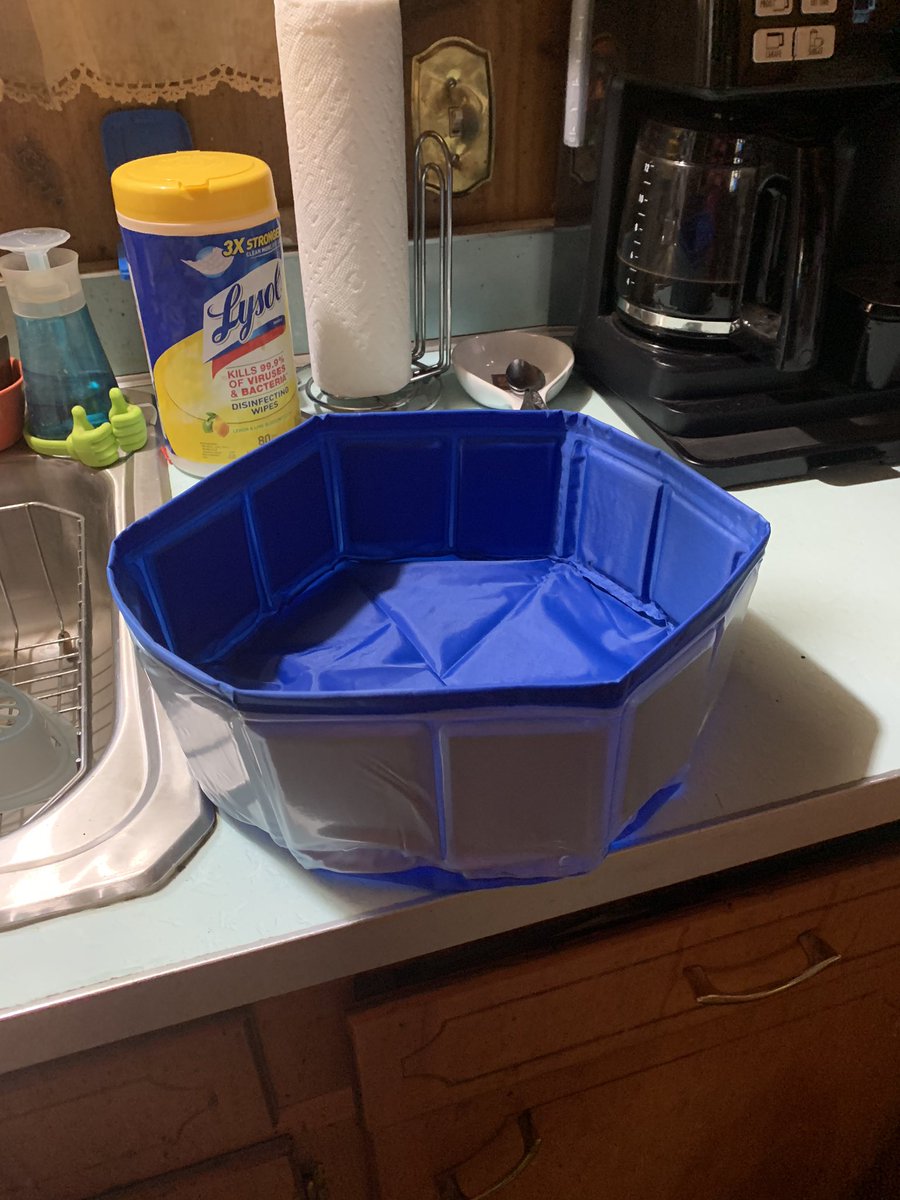 BenderYvonne's tweet photo. @TheEllenShow   Ordered a dog pool!!!!  Guess I ordered the wrong size!!!!😳😆 https://t.co/cwPCA23rax