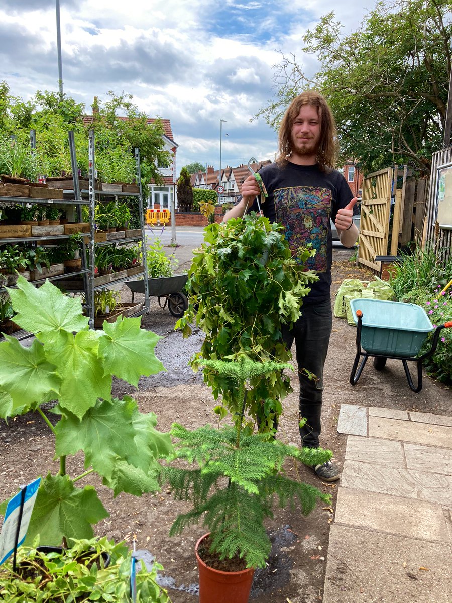BudGardenCentre's tweet photo. Look out for our plants at @OverDraughtMCR when it reopens next week... https://t.co/DH01RxBOgv