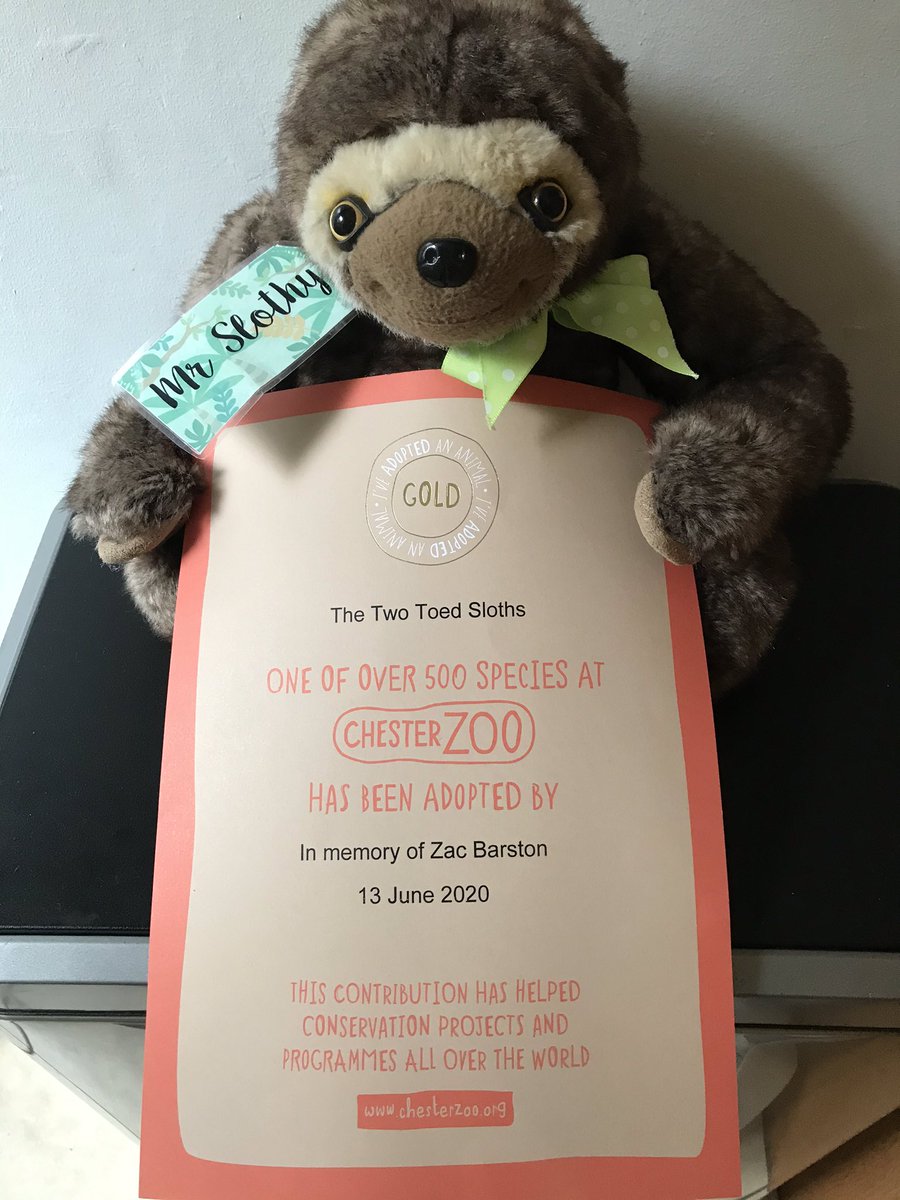 zacstributefund's tweet photo. It’s official we have adopted our very own Mr Slothy...can’t wait to go and see Zac’s name on the adoption plaque💚🦥💚 @RMCHcharity @chesterzoo #mrslothy #slothsunite #teamzac #charity https://t.co/wMNAPN7lJa