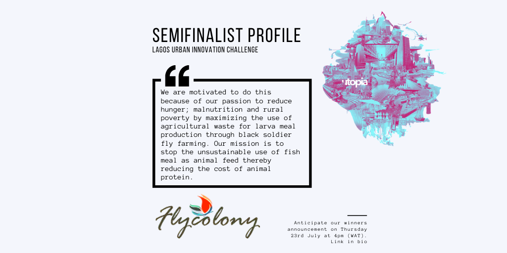 utopia_lagos's tweet photo. The fly colony specializes in production of a protein-packed,inexpensive and high quality alternative fish meal in the market through black soldier fly farming.Learn more:
https://t.co/NcdmxY11oK 
  @lagosinnovates @awscloud @BusInsiderSSA https://t.co/1caL1cSgz8