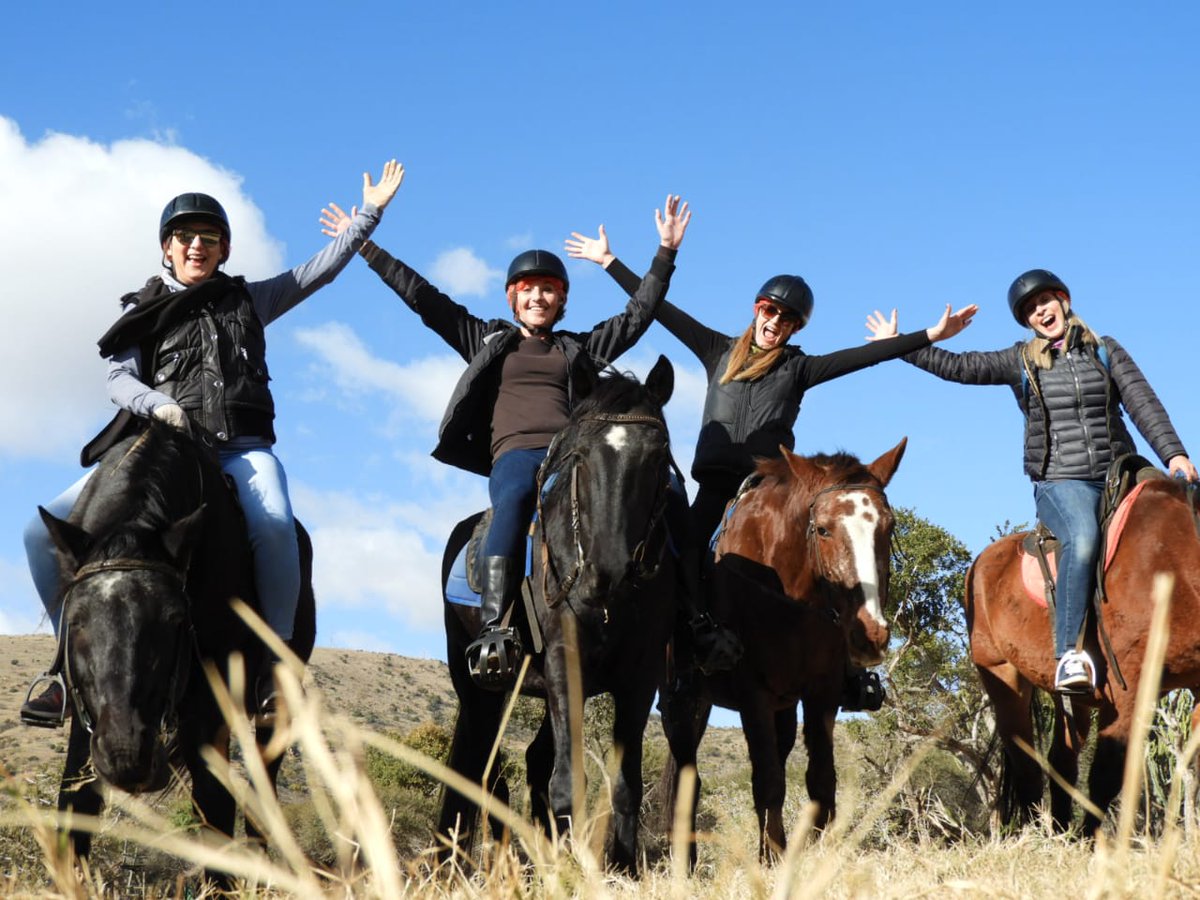 Come out and enjoy some fresh air at Harties Horse Trail Safaris. Book easily online at hartieshorsetrailsafaris.co.za