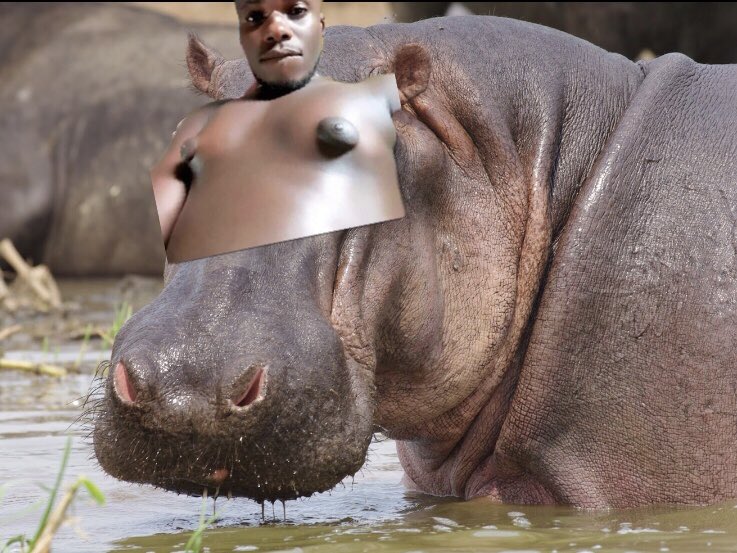 elpaulohermano's tweet image. 