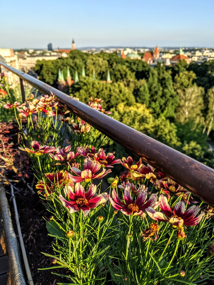 Flowers in front of Kraków Barbican
