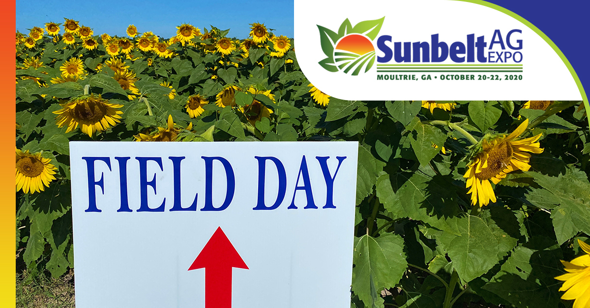 The Fields are ready to greet you for 2020 Sunbelt Ag Expo Field Day. Join us tomorrow at 8 AM for a drive-thru event to learn about the latest research being done to optimize your crop yields. See you in the morning!!!!
#fieldday #moultrie #sunbeltagexpo #georgia #thefutureisnow