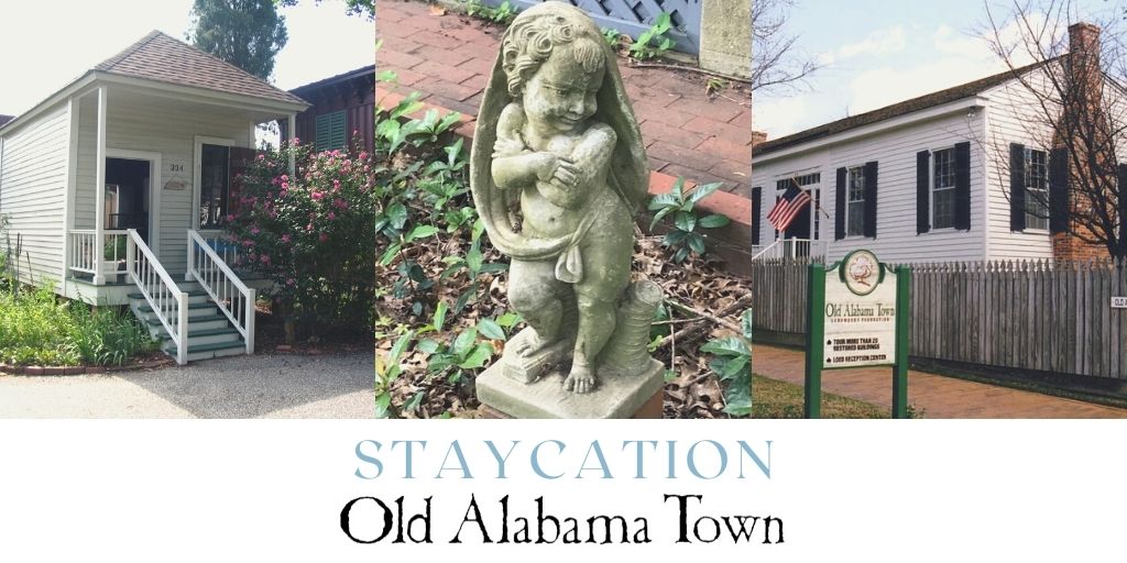 Start your "staycation" tomorrow!  We're open 10 - 4 p.m.! Or come Friday or Saturday!  Get out and have fun with us!