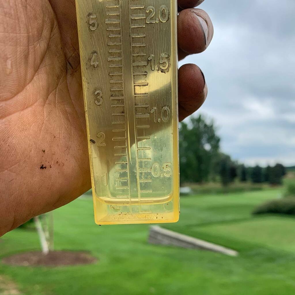 pinelandgreens's tweet photo. Bright side waking up. 80% chance of rain, hope we get the cut in but I don’t care if we don’t. Bright side after lunch, a drizzle of 4mm we completed all maintenance and parking lot is full. I’ll likely still have some irrigation on tonight. #pinela… https://t.co/GRlqD1CNCX https://t.co/V53s5BNYxV