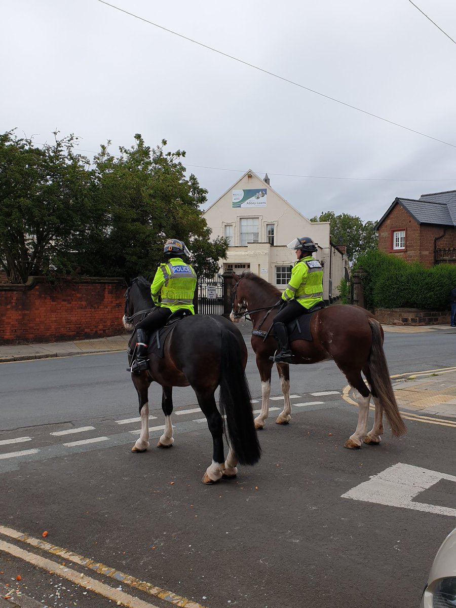 #phoxberry #phbeau #phsilver and #phjake hard at work with their riders @MerseyMounty oh and #ellis @MerPolMounted 🥰🥰 #LFCchampions #Chelsea