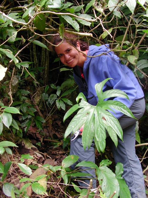 #LatinoConservationWeek #MobotToYou Originally from Venezuela, Dr. Monica Carlsen has spent most of her career as a botanist doing field work in tropical forests. discoverandshare.org/2018/03/05/spo… #DiscoverAndShare