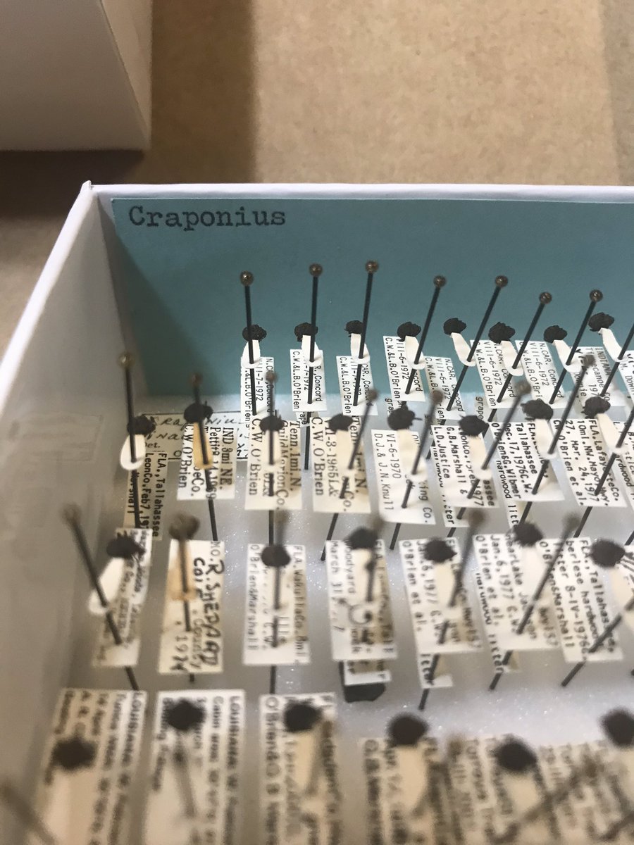 Emmy Engasser tweet media