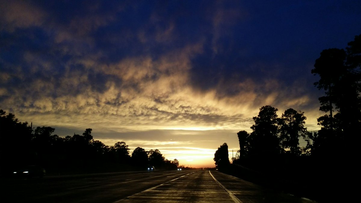 cmogler1's tweet photo. I am on the road less traveled. Heading toward better health and happiness in all areas of life. #beinglove #healththybrain #happinessjunkie https://t.co/o2lmKqColi