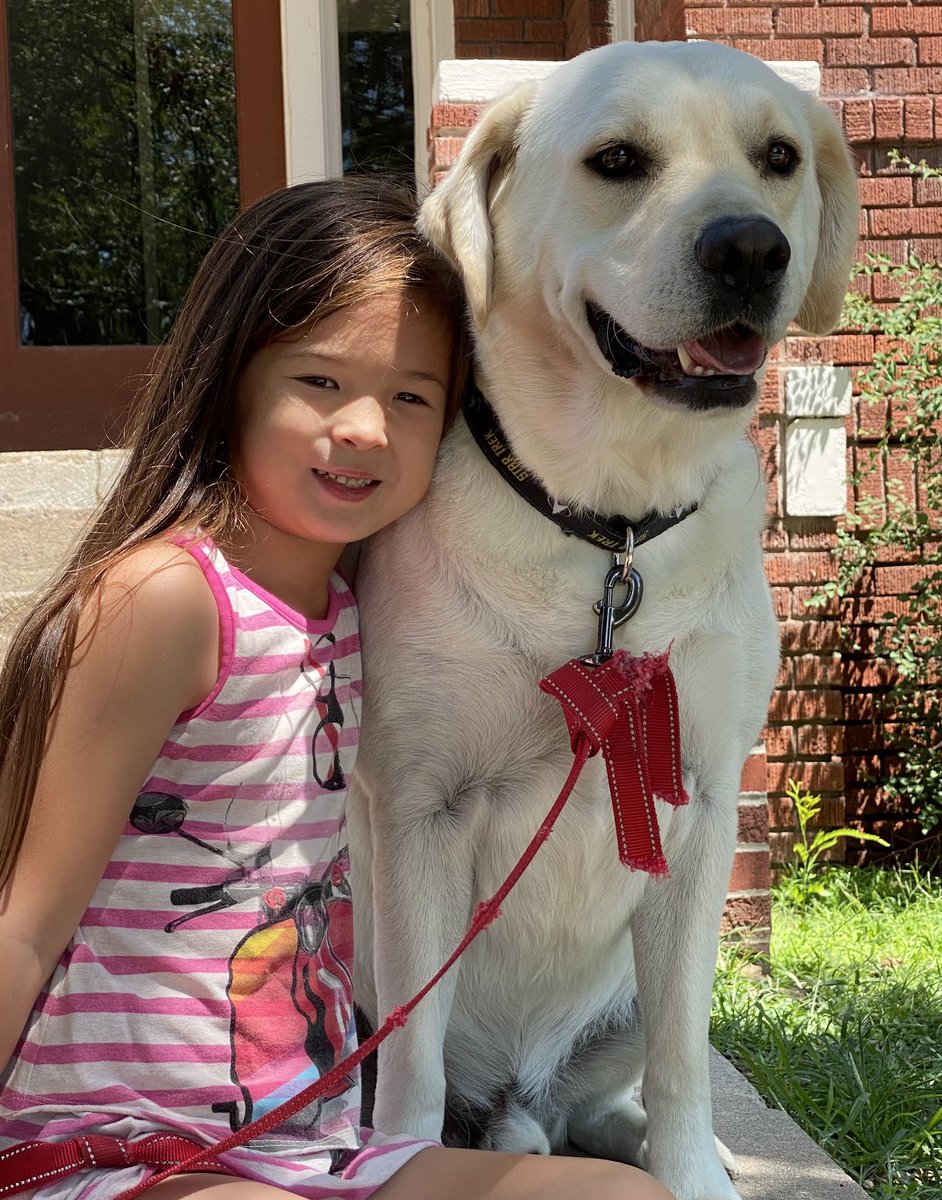 SharonChenTV's tweet photo. #Wednesday Mornings are for time with #mytwoloves ❤️💖❤️

#MyBug #CaptainKirk #FamilyTime #SoakingintheSun #Summertime https://t.co/3spl4XZgXp