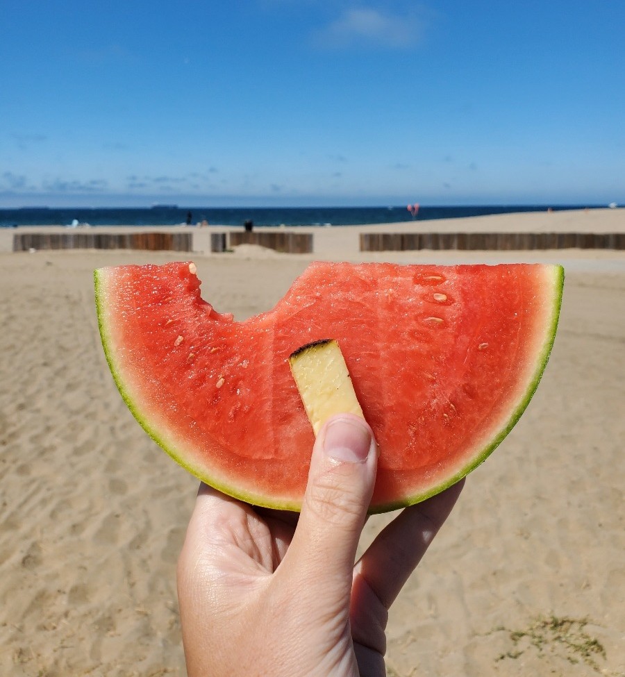 beehivecheese's tweet photo. There's nothing quite like a quiet day at the beach, soaking up the sun and eating your favorite snacks.
.
#MakingFriendsWithCheese #BeachDay #LocalCreamery #ShopLocal #Teahive #Watermelon https://t.co/qJXAE8Y9K4