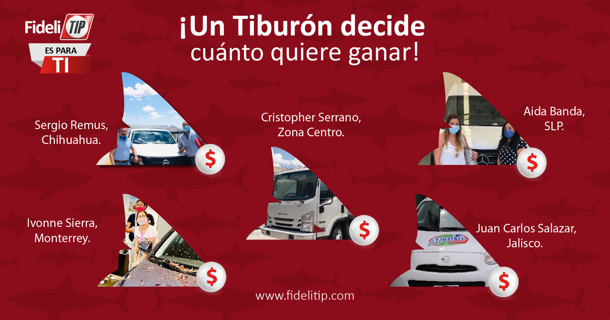 fidelitip's tweet photo. 🦈💰¡En FideliTIP, el único que decide cuánto ganar eres tú!   Los #TiburonesDeVentas no paran!
Incrementa tus oportunidades, regístrate hoy https://t.co/otImoefxA8

#Leasing #Arrendamiento #ArrendamientoVehicular #Ventas #Vendedor #Vendedora #Vehículos #Transporte https://t.co/0ynJjdN5WJ