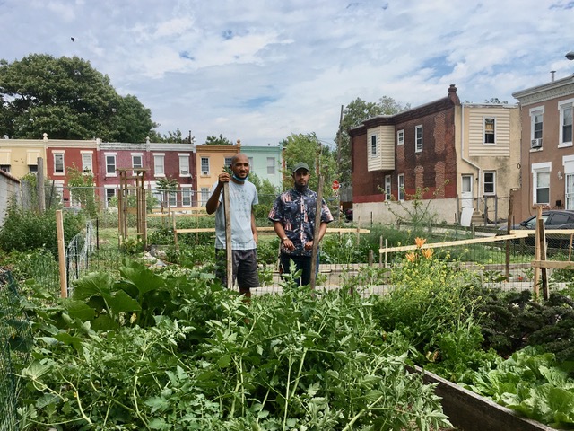 HistoricFH's tweet photo. Farm stand Thursdays &amp; Peaceful Saturdays at Fair Hill - Grab your veggies from the farm stand and head to the park! https://t.co/hWNFY5xia2 https://t.co/xD5sNMLGKG