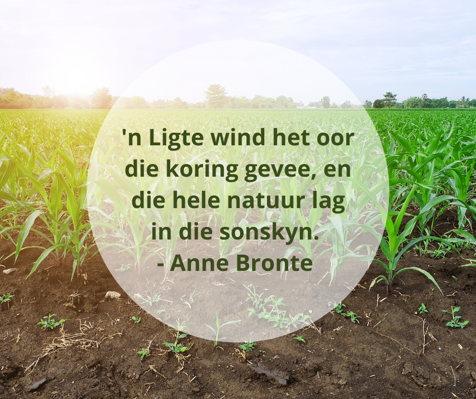 Grainvest Group tweet media
