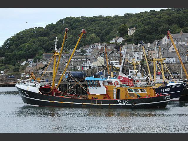 NewlynFishing's tweet photo. Encouraging News indeed for our Fishermen as #FishResturants/#Resturants reopen Offering #QualityPrime Fish!!.. as Now landed by Skipper Don’ ‘AA’ for #NewlynThurMkt Auction! ...&amp; ‘Sapphire2’ due Thur midday with #Lemon #Dover #Megrim #Monk ect for Export 2 @Brixhamfishmkt Fri! https://t.co/zpTApmq0sY