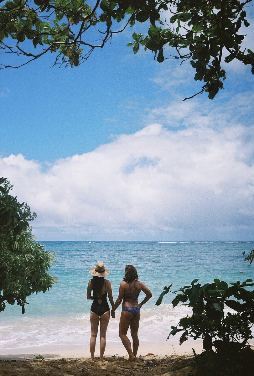 lisaunderwater's tweet photo. ..#wahinewednesday #friendsonfilm #nikonosv https://t.co/0kVDp3pRJu