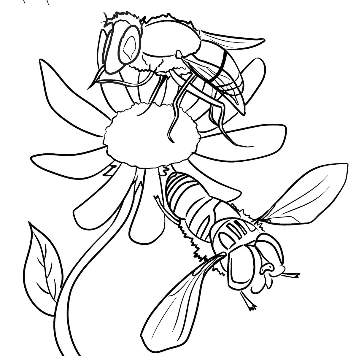 FruitWitchillu's tweet photo. Here are the previews of my bee coloring book that didn't want to post here the other day. #savethebees #artistsontwitter #ArtistoftheSummer #artistontwittter #beefacts #coloringbook #wipwednesday #WIP #flyingbugs https://t.co/FSecwaIquP