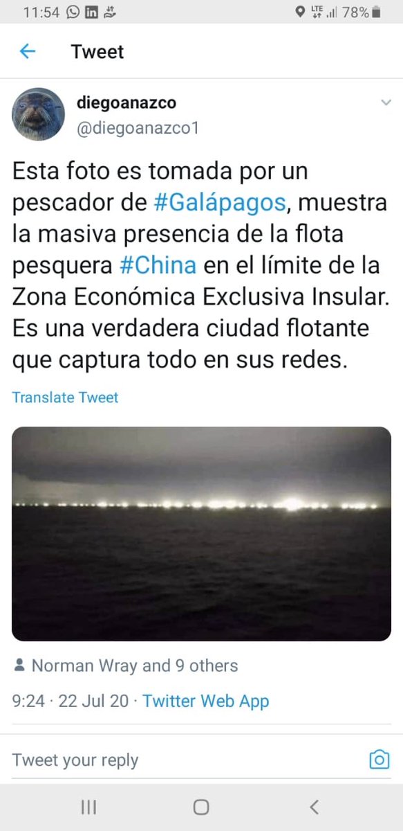 SevillaRoque's tweet image. Este es el horror que tenemos que parar y lo podemos hacer porque hay 4 instrumentos internacionales que lo permiten