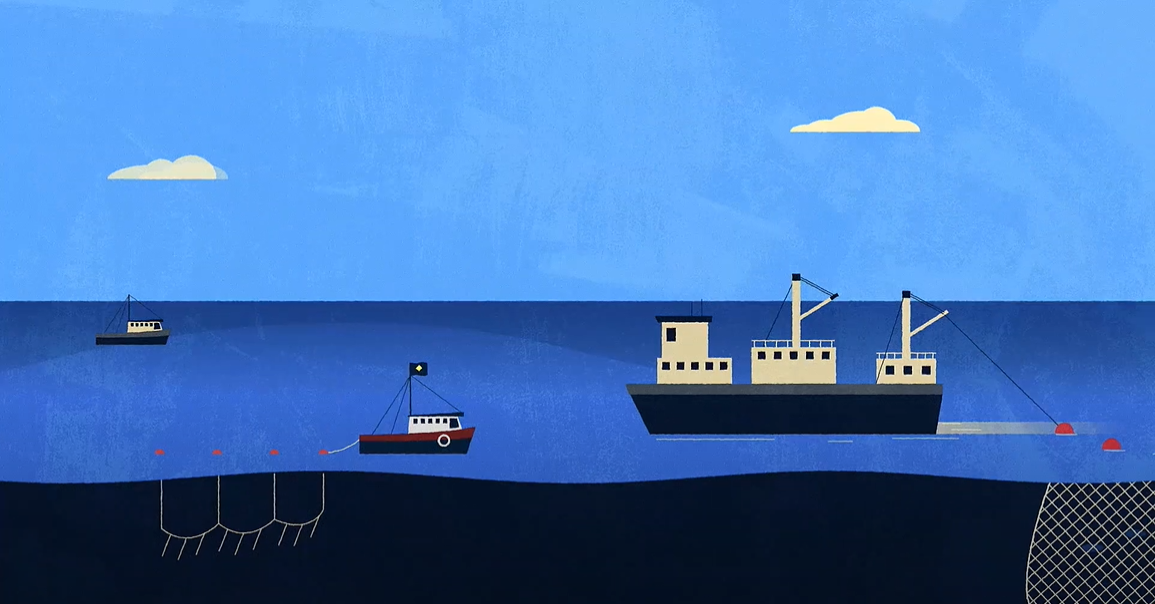 When at sea, vessels are likely to be fishing in the waters of one of the many RFMOs that were created by international treaties to manage these fisheries. But many have yet to agree on effective rules to ensure catches are sustainable or compliance regimes to enforce those rules