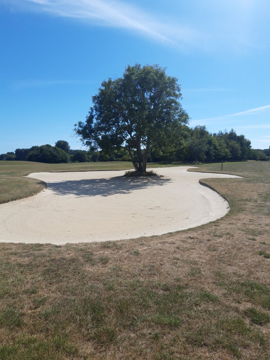 GreenieRob's tweet photo. Another afternoon knock. This time down @ChichesterGC. Some great holes and amazing features. Well done to @brownstuff1984 and his team for presenting the course so well. Especially with this years weather conditions. Course looking great mate #golffeatures https://t.co/wyh53MpfzU