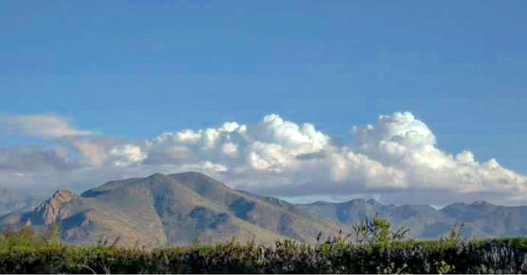 losagapantos's tweet photo. Lindo día para gozar del jardín y para funar a #pradenasviolador 🌿
A veces la vida no es justa pero está en nosotros pelear por nuestras convicciones. Que la belleza de la vida sea compañera de batalla y no testigo indolente. #JusticiaParaAntoniaBarra https://t.co/SXfHzVDXWw