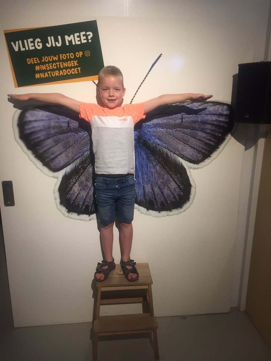 #insectengek #naturadocet #best4bees