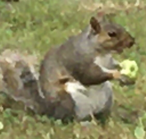 Bill Leukhardt tweet media