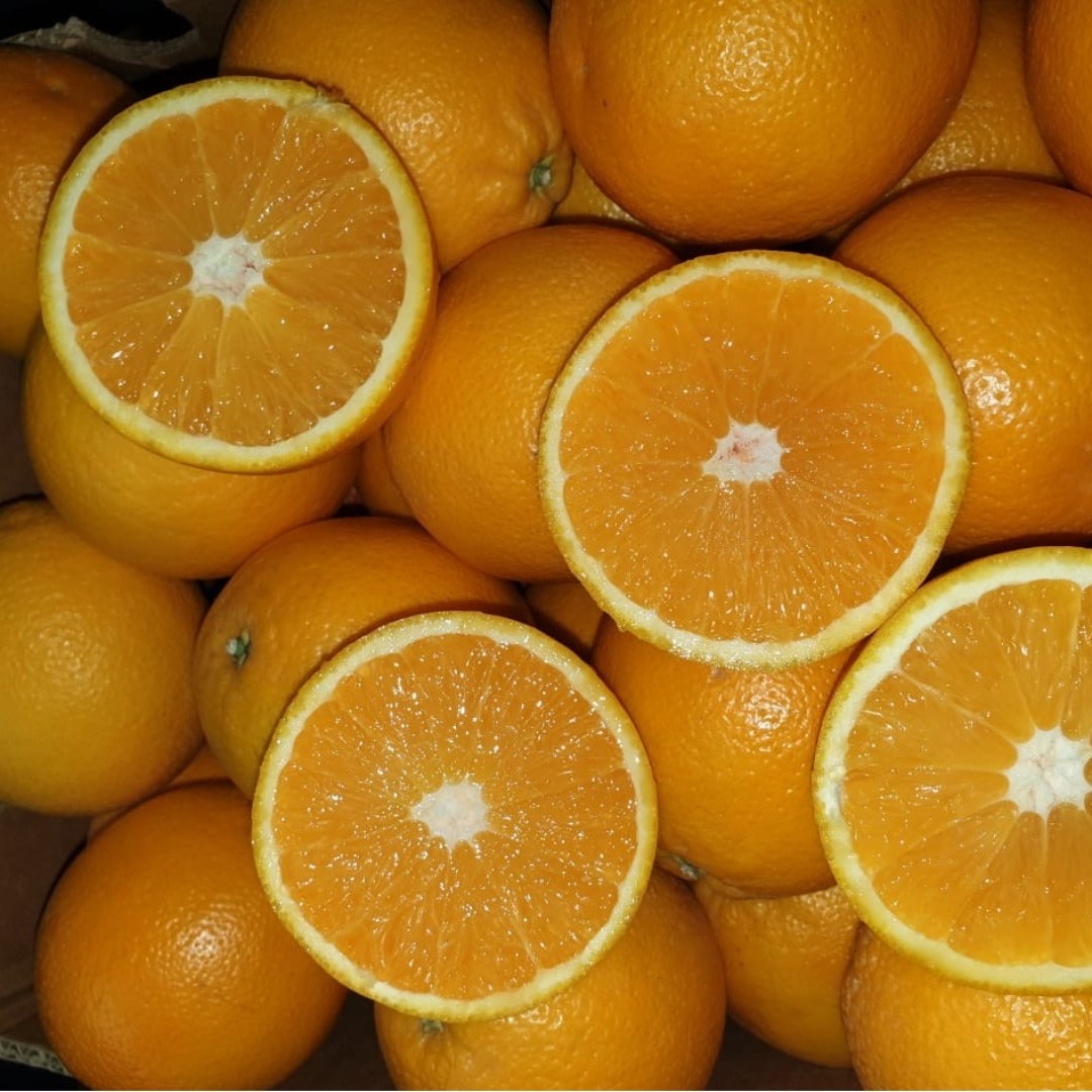 Jupiter__Group's tweet photo. 🧡🍊 Jupiter grown seedless Delta oranges are packed full of juice with an intense flavour profile.
Find out more on the exceptional quality of our Delta oranges on our blog in the news area of the website:
https://t.co/zrR97UNaBN
#oranges #Deltaoranges #freshorange https://t.co/Bqgpgp6xUe
