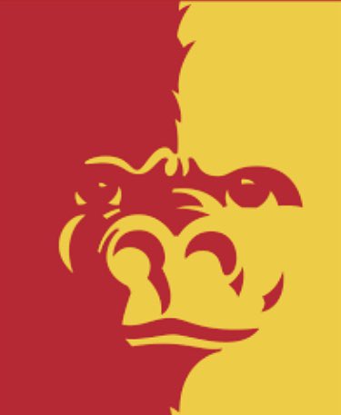 BrandonGirard18's tweet photo. After a great visit, I am humbled and blessed to say I have received a scholarship offer to further my academic and football career at Pitt State University🦍🟡🔴 https://t.co/M6jUMwvQqJ