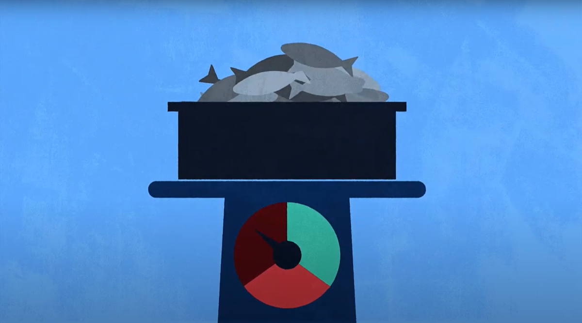 Putting science-based management in place is key to sustainability. Harvest strategies are a system of pre-agreed rules that determine, based on the best available science, how many fish can be caught each year.  http://pewtrusts.org/harveststrategies