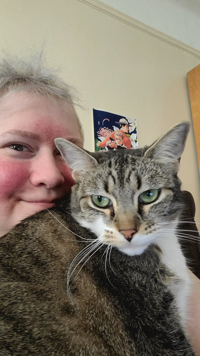 a green eyed tabby cat being held by a grinning person