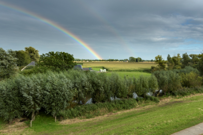 nieuwsuitwijhe's tweet photo. Waterschap kan voldoende water aanvoeren. Blauwalg in de Lange Kolk. #wijhe #dennul #olst @WDODelta https://t.co/ULaYMtkvNz
