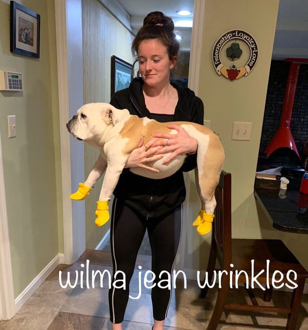 whatuswntplayer's tweet photo. Check out our IG @whichuswntplayerareyou for more content
1) DM us a name &amp; @USWNT player + we'll make a graphic and donate $1 for @PortlandFreedom! 
2) Help us raise $4k for #bailfunds! $55 away from #4k. 
3) Venmo @catiedavv 
#NWSLChallengeCup #BAONPDX #NWSL #LindseysBananas 🍌 https://t.co/QEEMOV9fd0