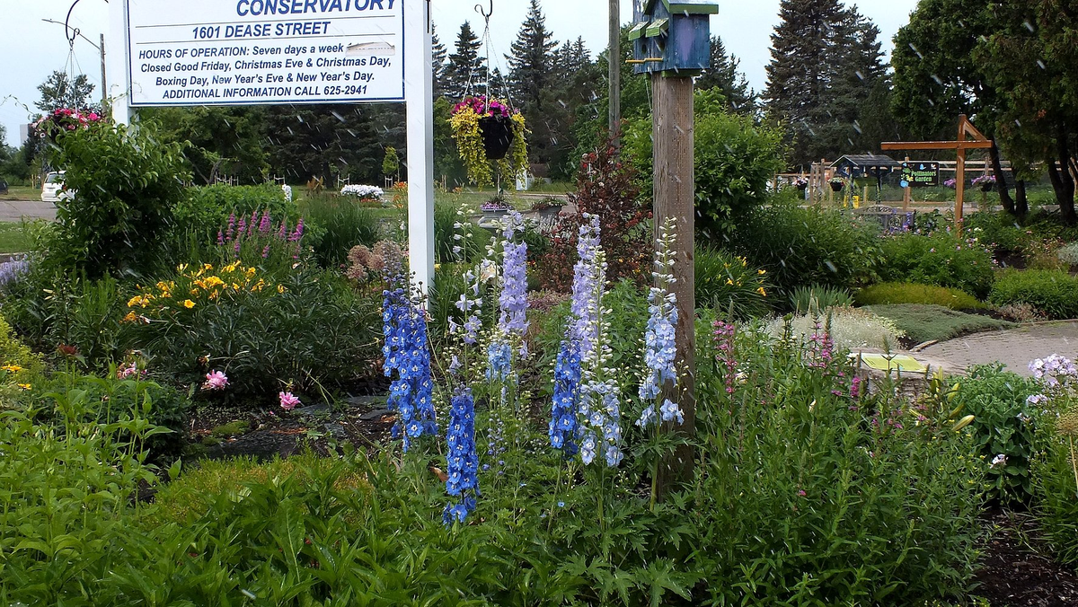 friendsTBcon's tweet photo. Lovely day to bike or hike #ThunderBay's 45+ km of multi-use trails. Most trails lead to the Centennial Botanical Conservatory. Stop by and enjoy the beautiful gardens.
#tbay #BikeTBay #WalkTBay #TbayLovin #ActiveTBay https://t.co/MdNXPR2BYl
