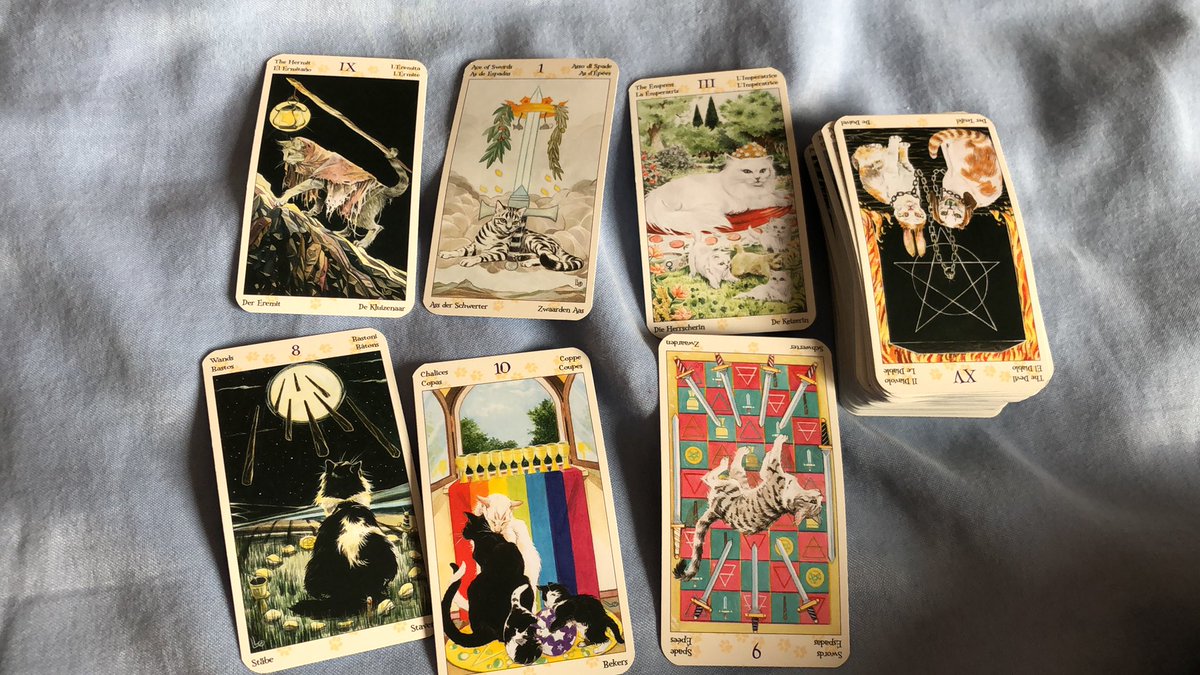  confidence should be yours but you are not seeing the bigger picture. your limitless potential is being ignored! any negativity in your life could be removed with ease. find your strength!