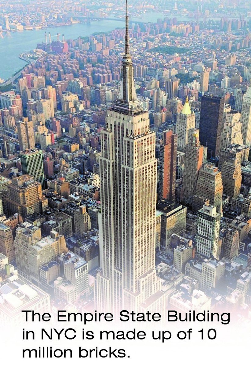 #FunFact #CommercialRealEstate #CRENJ #BusinessPlanning #FacilityMasterPlanning #OfficeInteriors #RealEstateDevelopment #InnovativeDesign #ArchitectureAndDesign #SpacePlanning #CommercialInteriorDesign